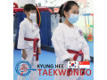 kyunghee-taekwondo-techniques-foundation-for-all-ages-small-1