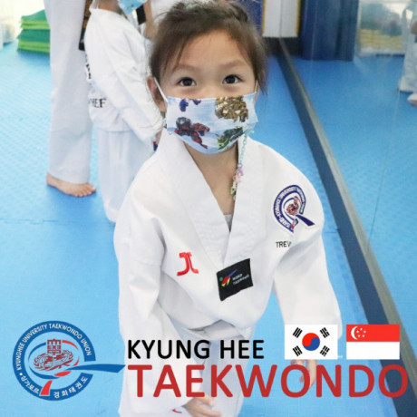 kyunghee-taekwondo-techniques-foundation-for-all-ages-big-0