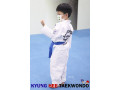 Kyunghee Taekwondo Taekwondo Techniques for everyone