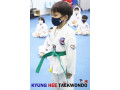 kyunghee-taekwondo-taekwondo-techniques-for-everyone-small-1
