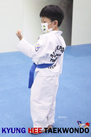 kyunghee-taekwondo-taekwondo-techniques-for-everyone-big-0