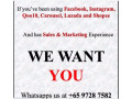 full-time-ecommerce-marketing-a-great-opportunity-small-0