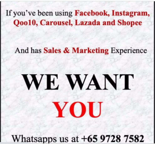 full-time-ecommerce-marketing-a-great-opportunity-big-0