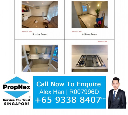 novena-chancery-grove-townhouse-for-rent-big-0