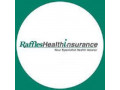 Medical Insurance for Employees Raffles Health Insurance