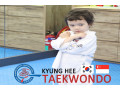 kyunghee-taekwondo-skills-techniques-and-foundation-small-1