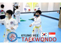 Kyunghee Taekwondo Skills techniques and foundation