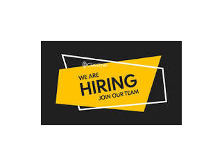 Hiring Operations team member for wholesale business