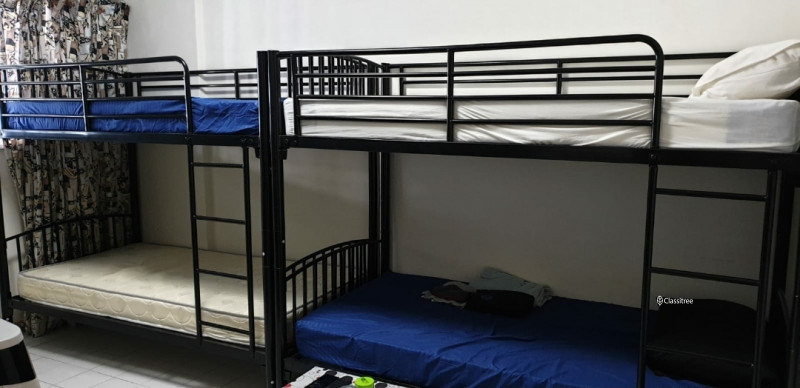 bedspace-available-for-rent-in-tampines-east-big-0