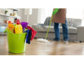 Professional Domestic Home Cleaning Services