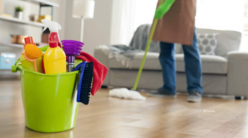 professional-domestic-home-cleaning-services-big-0