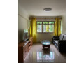 whole-apartment-for-rental-edgedale-plains-small-0