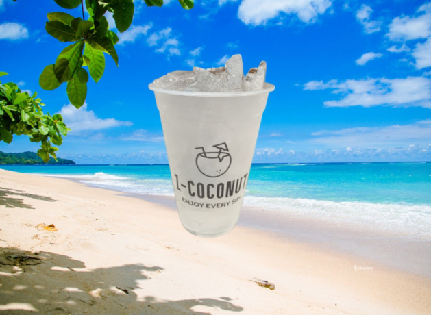 become-a-owner-of-trending-coconut-shake-business-in-months-big-0