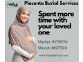 Placenta Burial Service Tanam Uri Service
