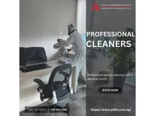 Experience the difference with professional cleaning service