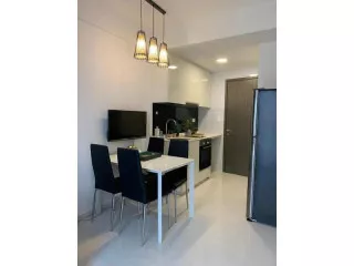 1-Bedroom Whole Unit with Balcony,Walk to SMU