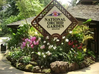 Orchid Garden cheap ticket discount promotion Adventure cove wate