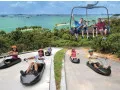Luge and Skyline Sky ride cheap ticket discount promotion Adventu