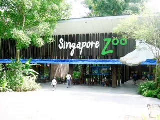 Zoo with tram cheap ticket discount promotion Adventure cove wate