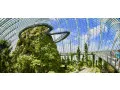 Garden by the bay cheap ticket discount flower and cloud forest d