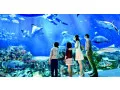 sea-aquarium-cheap-ticket-discount-promotion-adventure-cove-water-small-0