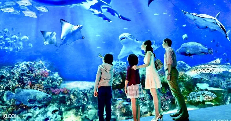 sea-aquarium-cheap-ticket-discount-promotion-adventure-cove-water-big-0