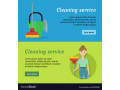 looking-for-parttime-home-cleaner-small-0