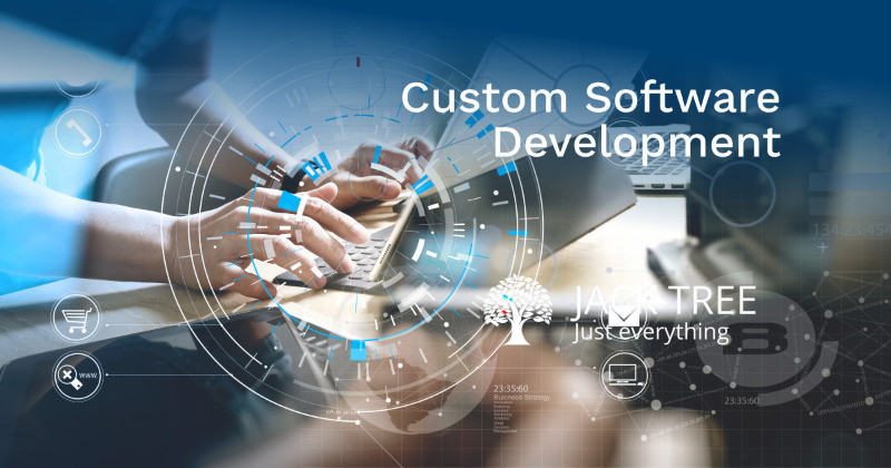 custom-software-web-app-development-big-0