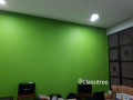 Professional home painting service