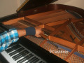 Piano Tuning by Experienced Professional Tuner 