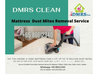 Mattress Dust Mite Removal Servicespecial promotion