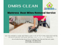 Mattress Dust Mite Removal Servicespecial promotion S