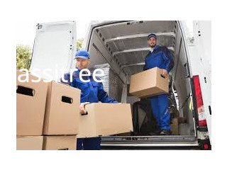 Experienced and Reliable Movers