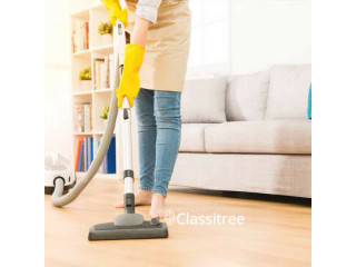  Spring Cleaning Service