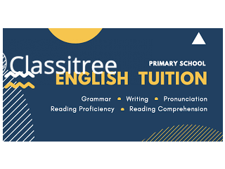 Primary Level English Tuition 