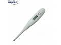 Oral Thermometer Singapore