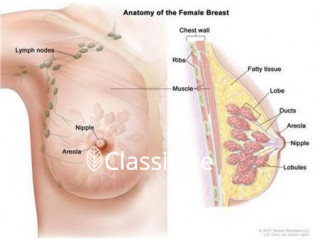Treatment For Breast Cancer at Novena Cancer Centre
