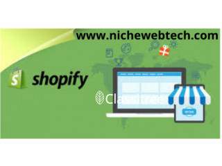 I will make a marketing shopify ecommerce Website