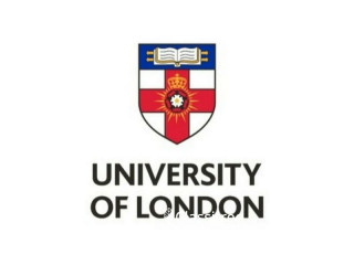 UOL Introduction To Economics Tuition UOL First Class Honour