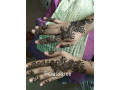 Henna artist for reasonable price