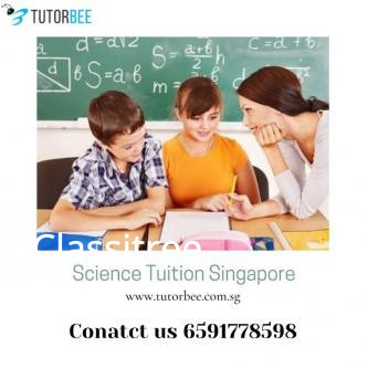 the-best-private-science-tuition-singapore-big-0