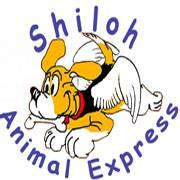 shiloh-animal-express-pet-relocation-big-0