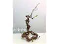 Plant Decorative Branch artificial Aplant