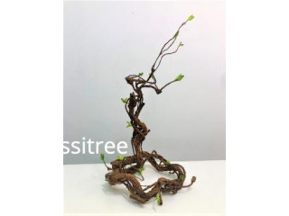 Plant Decorative Branch artificial Aplant