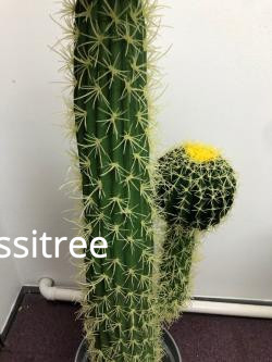 plant-artificial-double-golden-ball-cactus-aplant-big-0