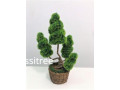 plant-topiary-artificial-aplant-small-0