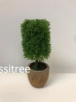 plant-mini-bonsai-aplant-big-0