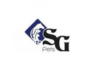 SG Pets Has Luscious Dog Food Brands In Singapore