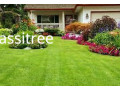 YOUR COMPLETE LAWN AND LANDSCAPE CARE SERVICES
