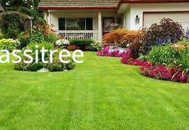 your-complete-lawn-and-landscape-care-services-big-0